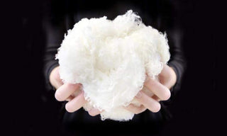 What is traceable wool?