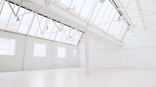 TY Studios