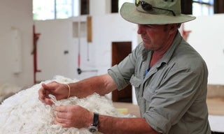 What Is Merino Wool?