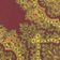burgundy and gold paisley