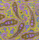purple and gold